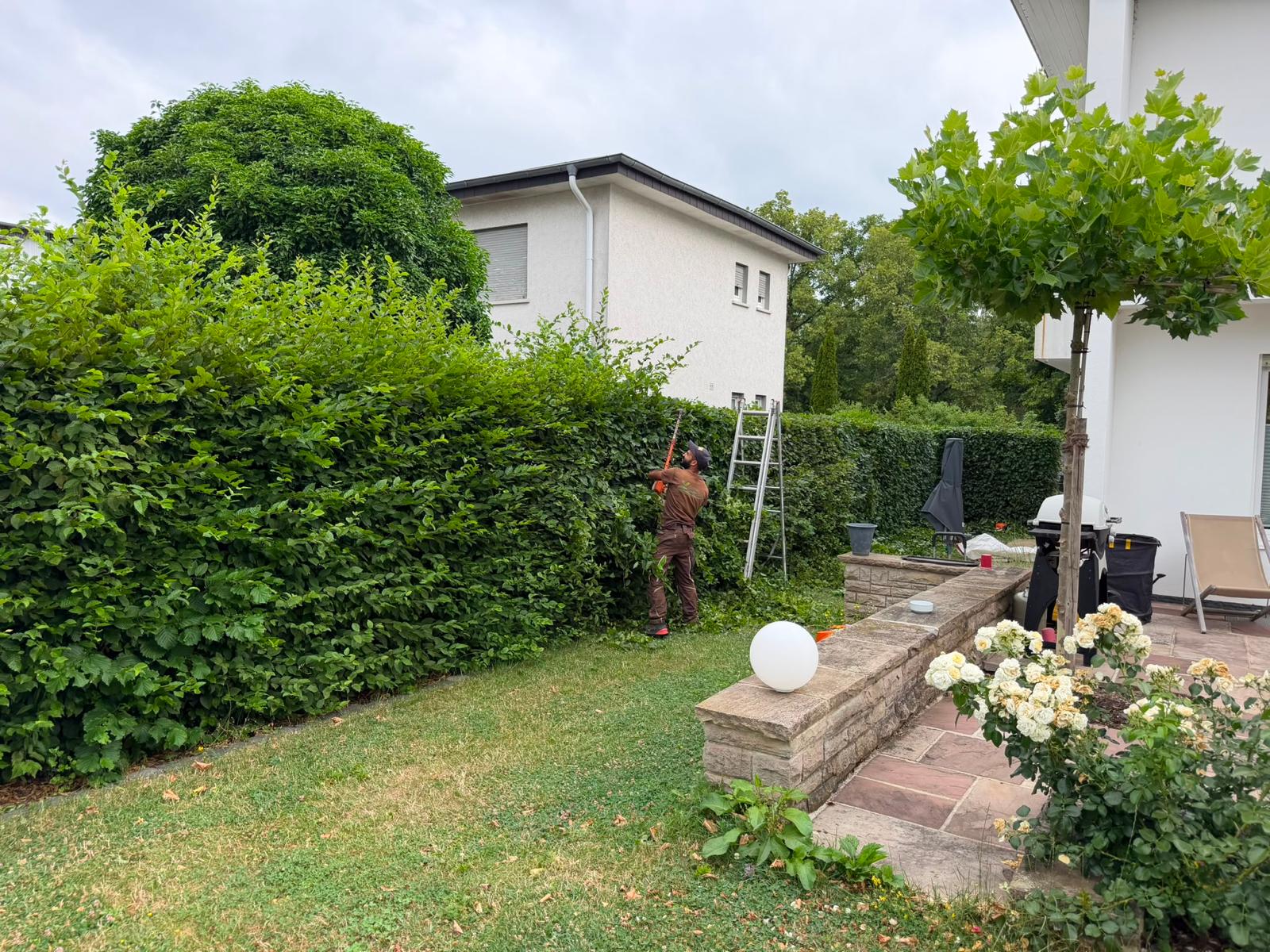 Gartenpflege Gießen