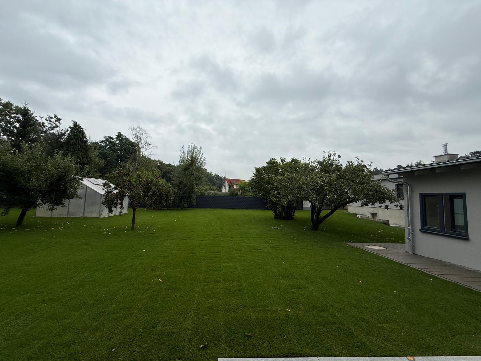 Rollrasen Gießen