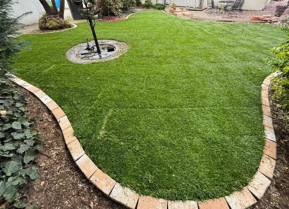 Rollrasenfläche mit Rasenkante – Rasenarbeiten in Wetzlar