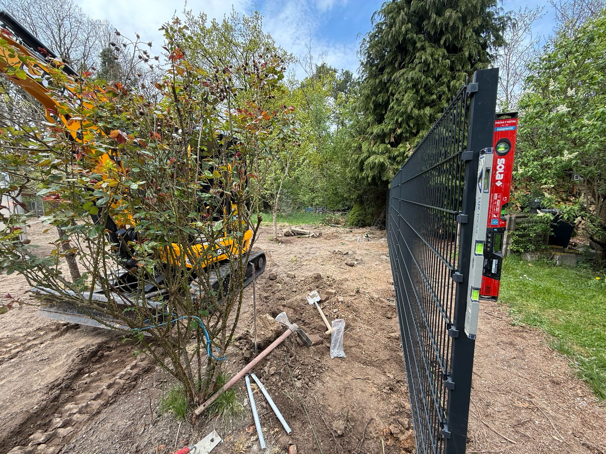 Neupflanzung im Garten – Baum- und Pflanzenpflege nach Planung